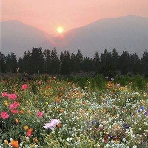 Meet your Posher, Abigail